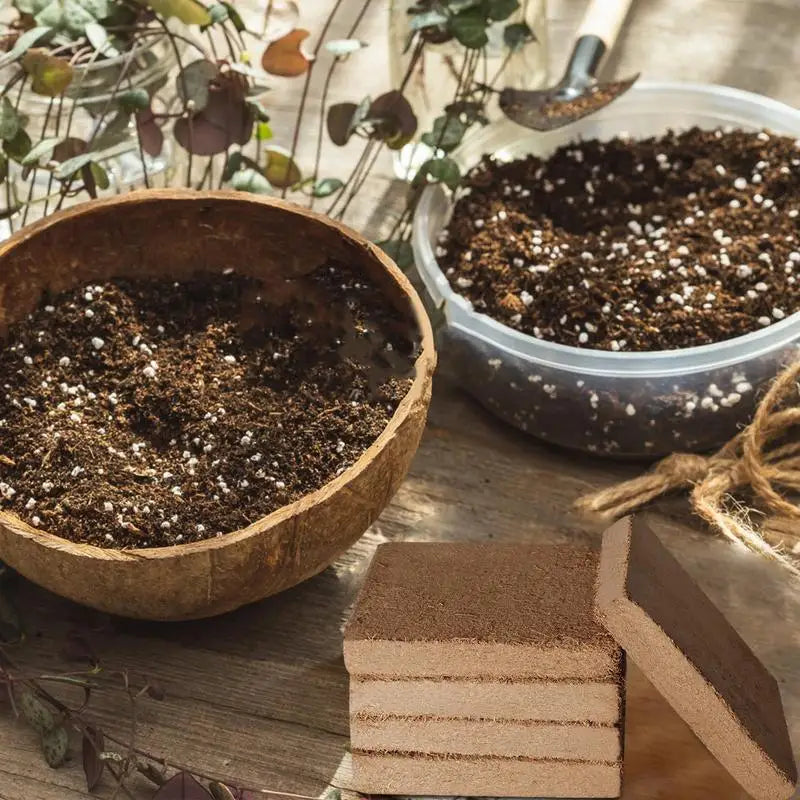 Last Day Sale 49% OFF✨ - Organic Coconut Coir for Plants